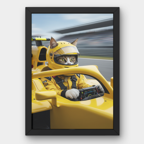Formula One Racer