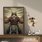 The Motorcycle Rider